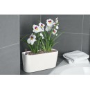 VASO LECHUZA DELTA PREMIUM 20 - ALL INCLUSIVE