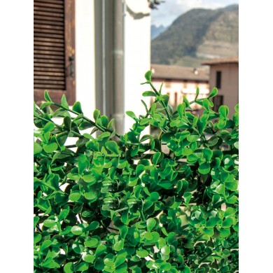 SIEPE ARTIFICIALE - DIVY 3D PANEL BUXUS INTENSE SIEPE ARTIFICIALE - DIVY 3D PANEL BUXUS INTENSE