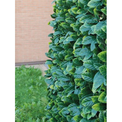 SIEPE ARTIFICIALE - DIVY 3D X-TENS OSMANTHUS SIEPE ARTIFICIALE - DIVY 3D X-TENS OSMANTHUS