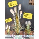 Pennisetum Artificiale