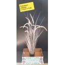 Pennisetum Artificiale ht 125 cm