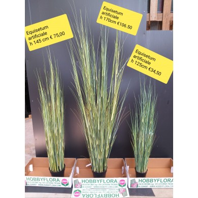 Equisetum Artificiale ht 170 cm