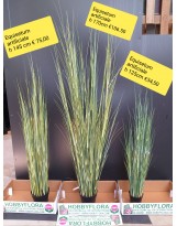 Equisetum Artificiale ht 145 cm