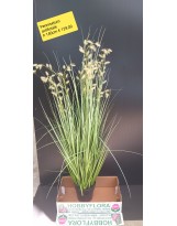 Pennisetum Artificiale ht 140 cm