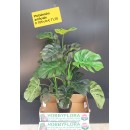 Philodendron artificiale ht 105 cm