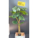 Philodendron artificiale ht 170 cm
