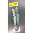 Cactus artificiale - altezza 60 cm