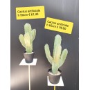 Cactus artificiale - altezza 50 cm