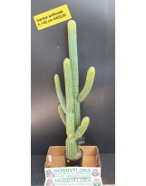 Cactus artificiale - altezza 145 cm