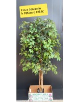 Ficus Benjamin artificiale - altezza 185 cm