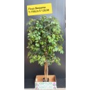 Ficus Benjamin artificiale - altezza 185 cm