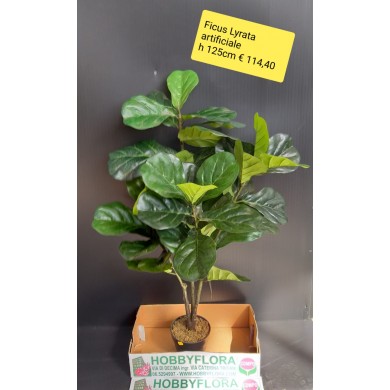 Ficus Lyrata artificiale - altezza 125 cm