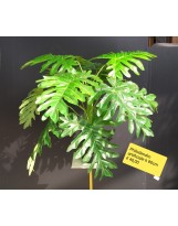 Philodendron artificiale - altezza 80 cm