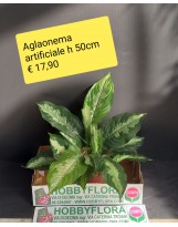 Aglaonema artificiale - altezza 50 cm