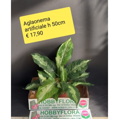 Aglaonema artificiale - altezza 50 cm