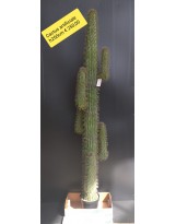 Cactus artificiale - altezza 250 cm