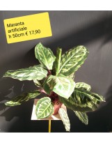 Maranta artificiale ht 50 cm