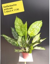 Dieffenbachia artificiale ht 60 cm