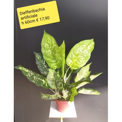 Dieffenbachia artificiale ht 60 cm