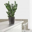 VASO LECHUZA CLASSICO PREMIUM 21
